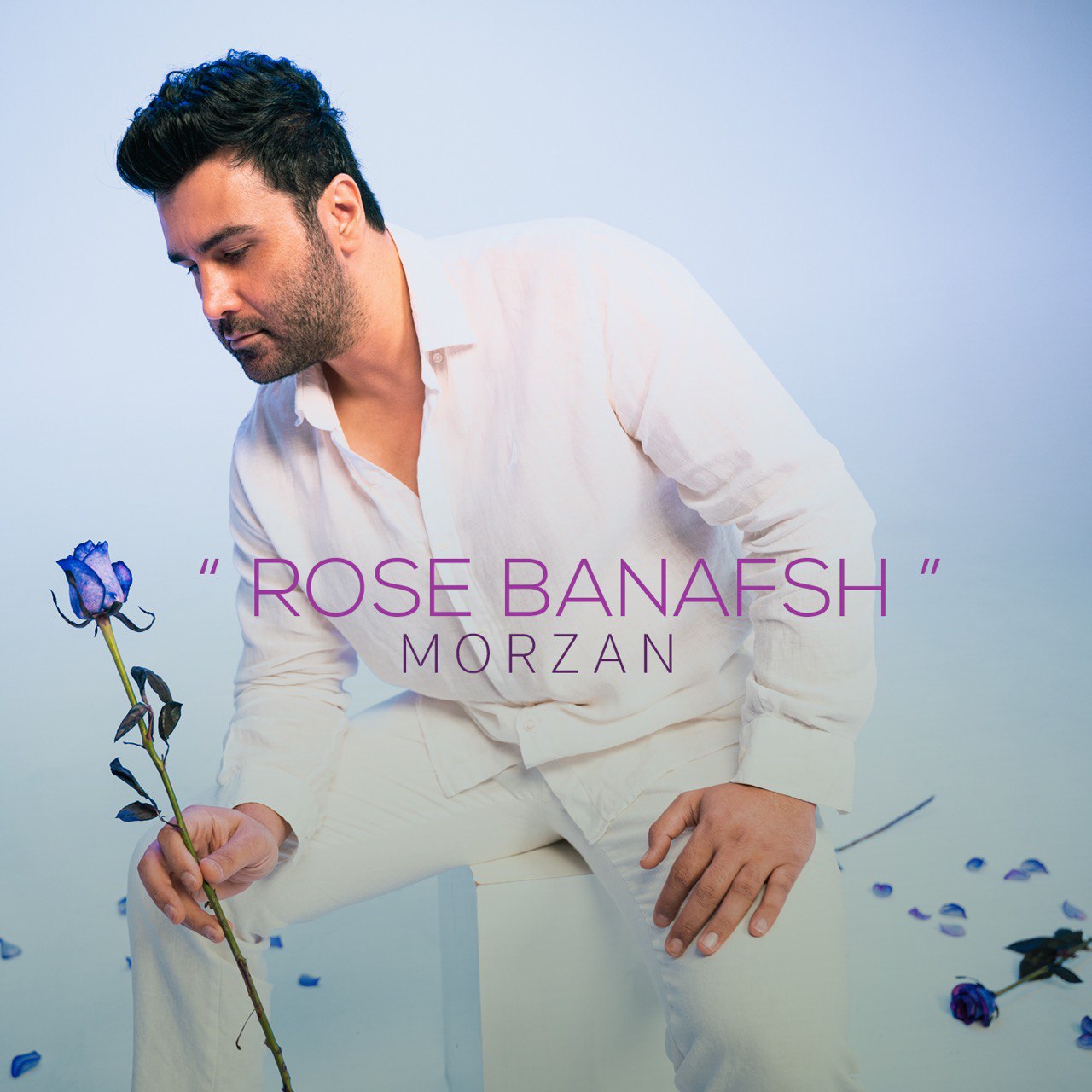 دانلود آهنگ جدید رز بنفش از مرضان