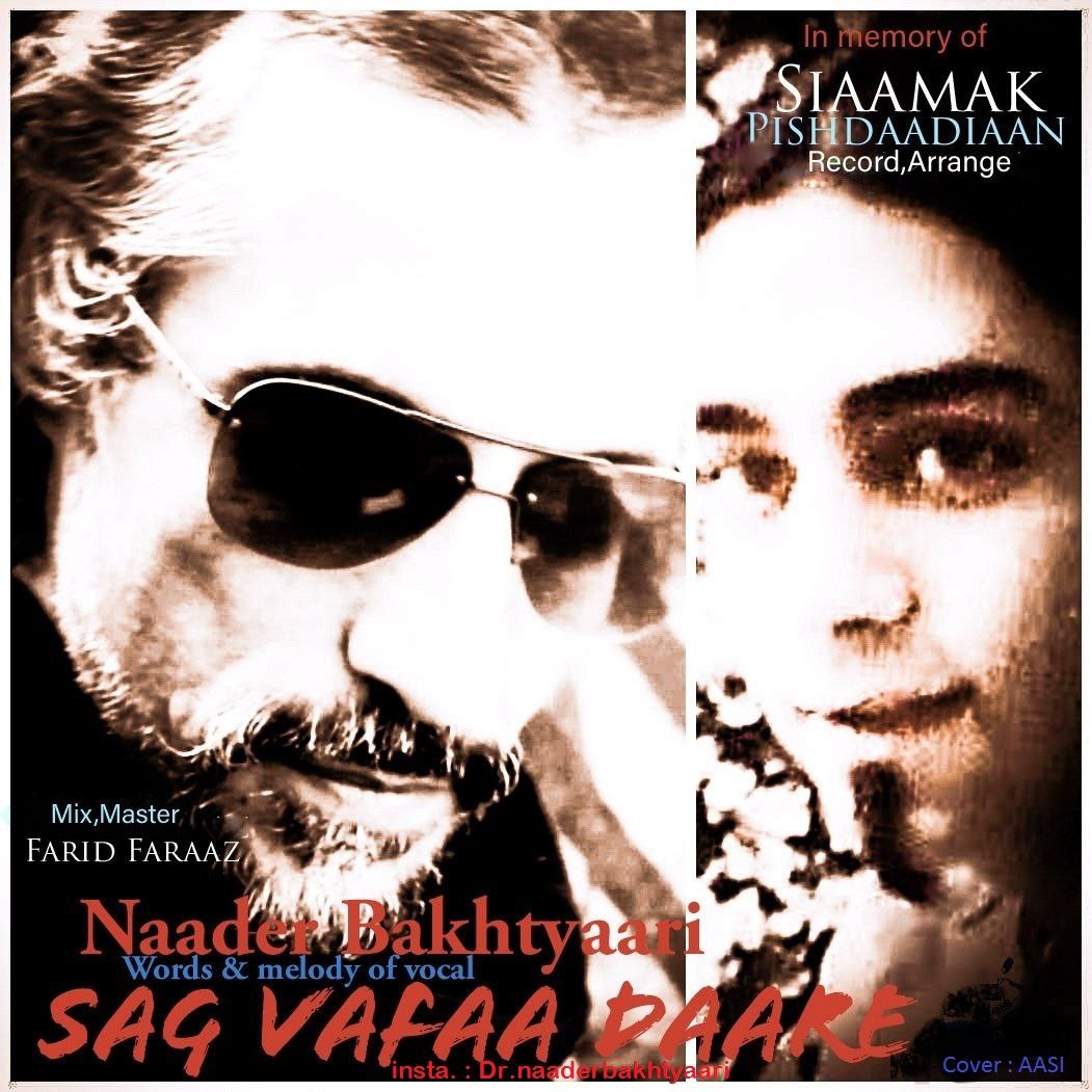 دانلود آهنگ جدید سگ وفا داره از نادر بختیاری