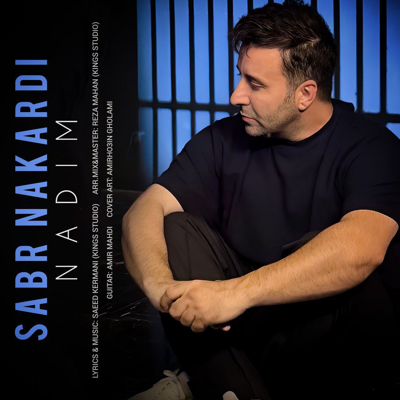 دانلود آهنگ جدید صبر نکردی از ندیم