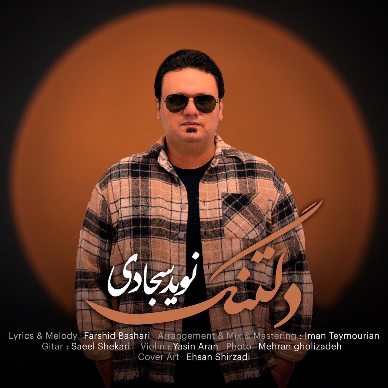 دانلود آهنگ جدید دلتنگ از نوید سجادی