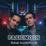 دانلود آهنگ جدید پشیمون از نیام و بابک فارسی
