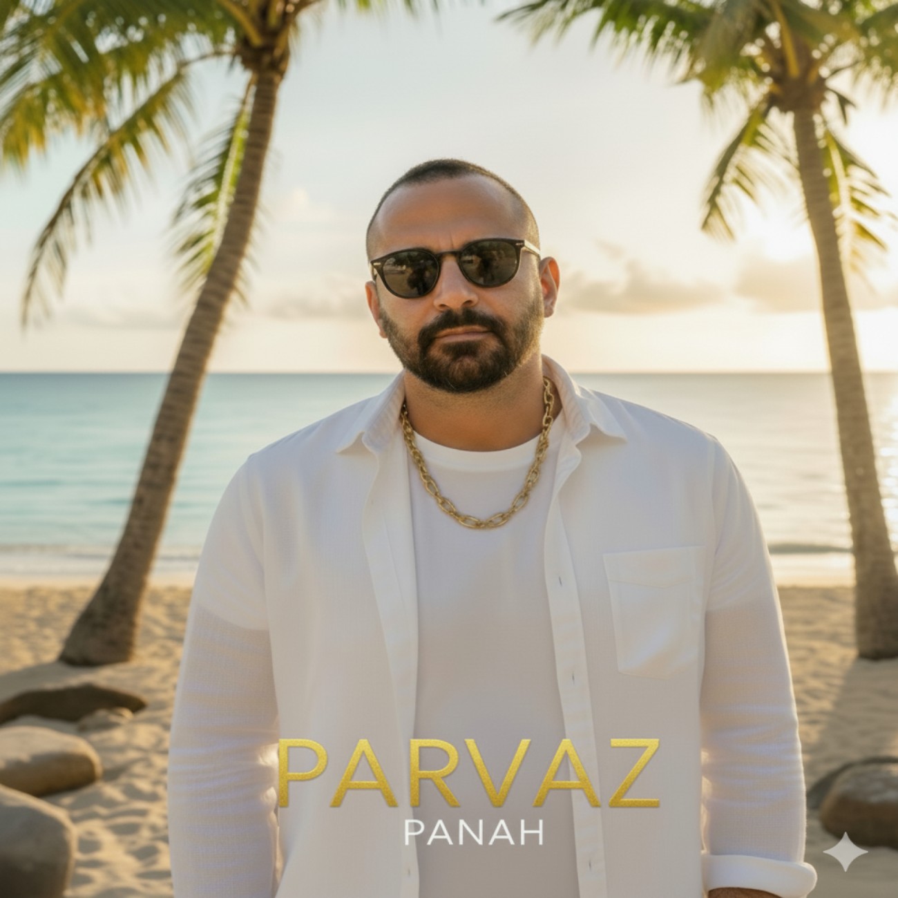 دانلود آهنگ جدید پناه از پرواز