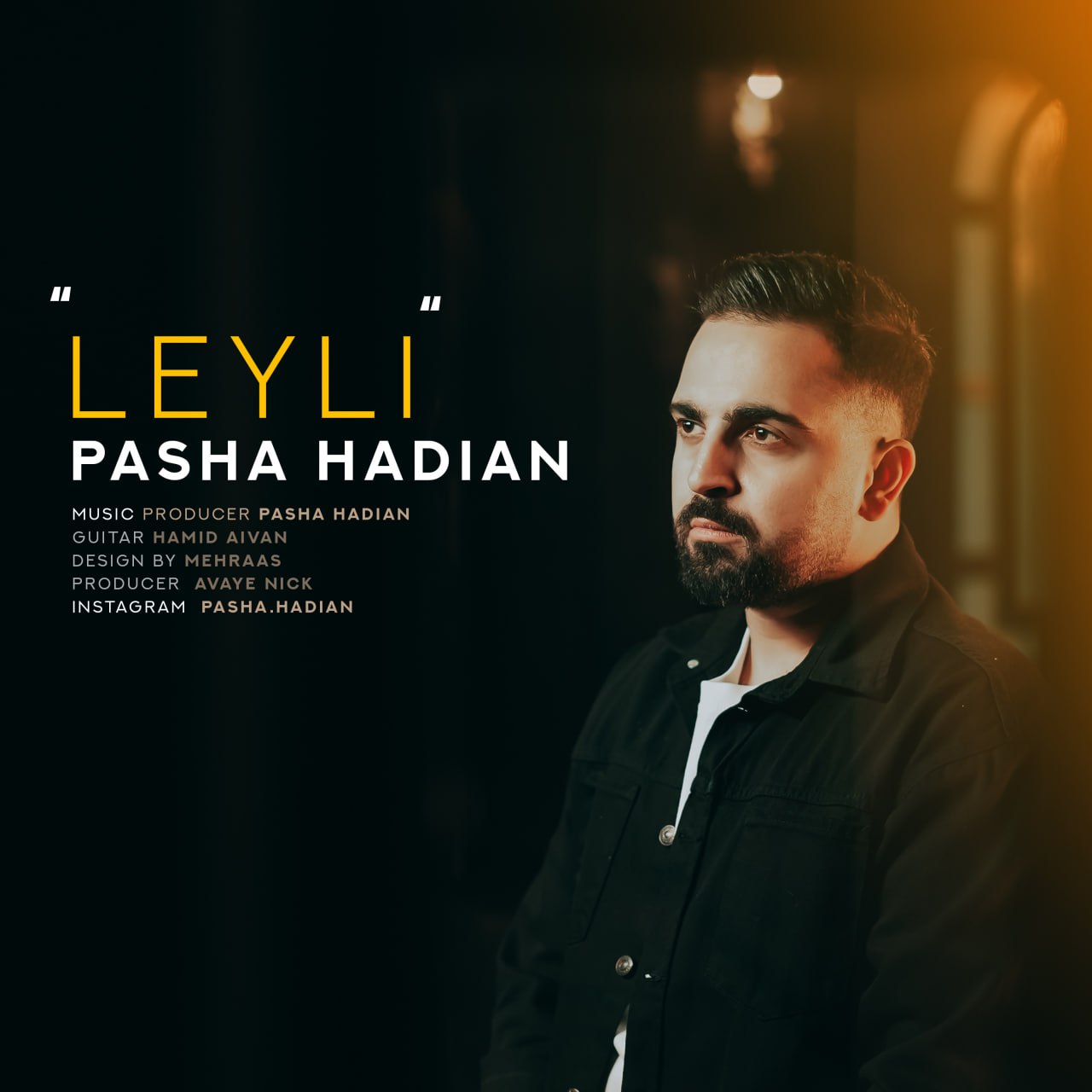 دانلود آهنگ جدید لیلی از پاشا هادیان