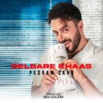 دانلود آهنگ جدید دلبر خاص از پدرام زند