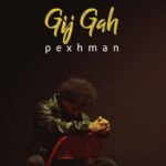 دانلود آهنگ جدید گیجگاه از پژمان