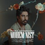 دانلود آهنگ جدید مهم نیست از پوریا حیدرزاده