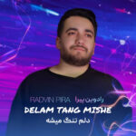 دانلود آهنگ جدید دلم تنگ میشه از رادوین پیرا