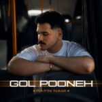 دانلود آهنگ جدید گل پونه از رایین نامی