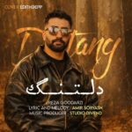 دانلود آهنگ جدید دلتنگ از رضا گودرزی