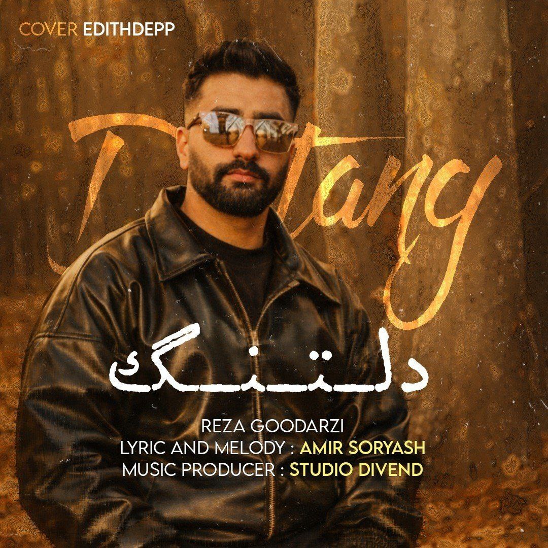 دانلود آهنگ جدید رضا گودرزی به نام دلتنگ