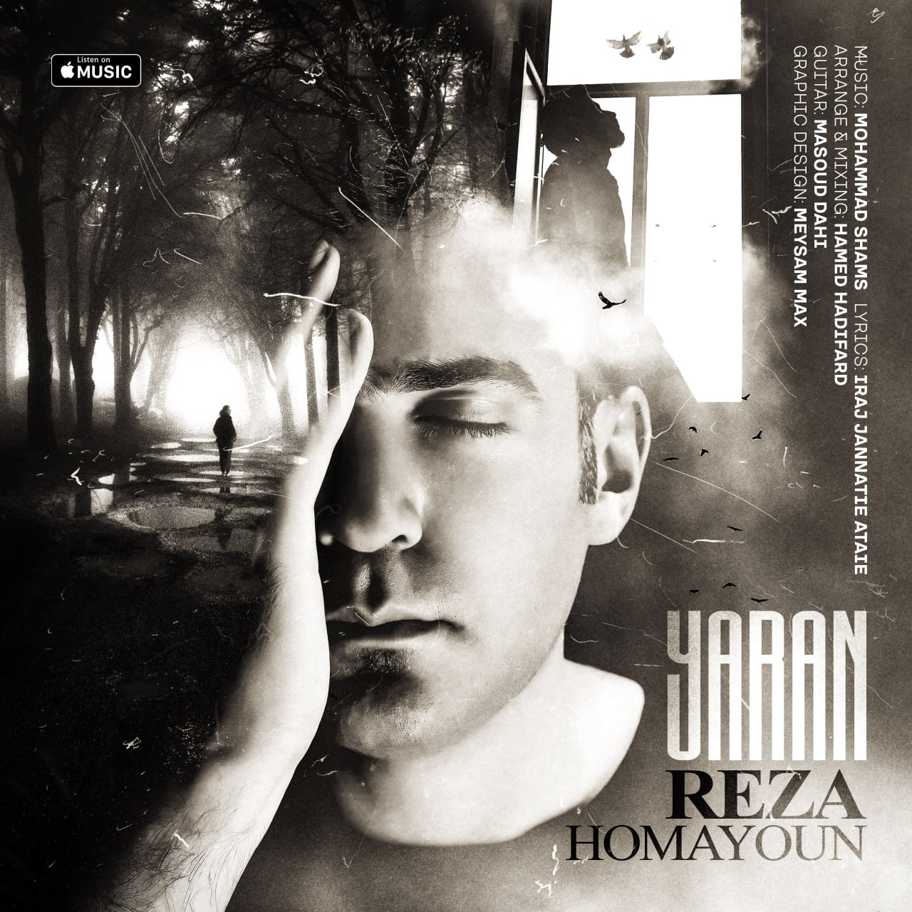 دانلود آهنگ جدید رضا همایون به نام یاران