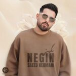 دانلود آهنگ جدید نگین از سعید کرمانی