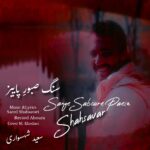 دانلود آهنگ جدید سنگ صبور پاییز از سعید شهسواری شهسوار