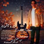 دانلود آهنگ جدید ستاره میشمارم از سعید شهسواری شهسوار