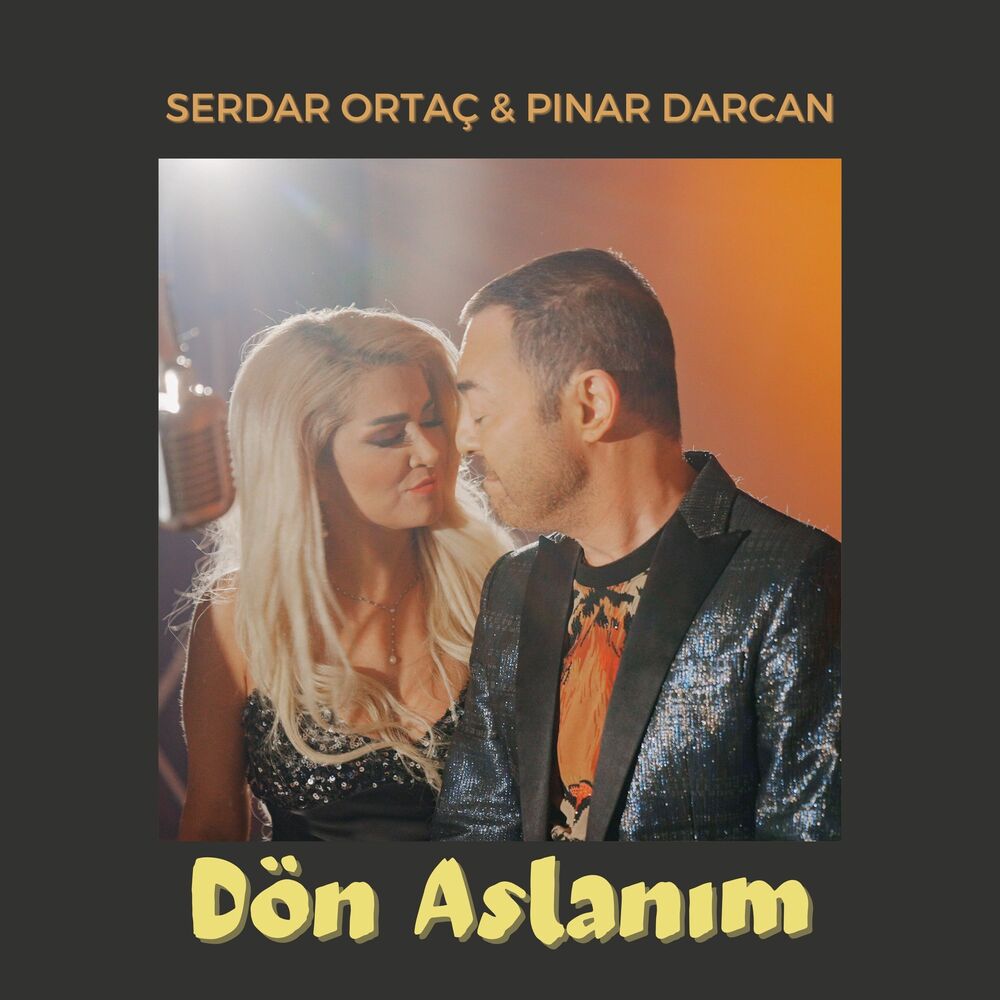 دانلود آهنگ Dön Aslanım از Serdar Ortaç با کیفیت 320 + متن آهنگ