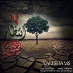 دانلود آهنگ جدید پر از انتظار از سید علی شمس