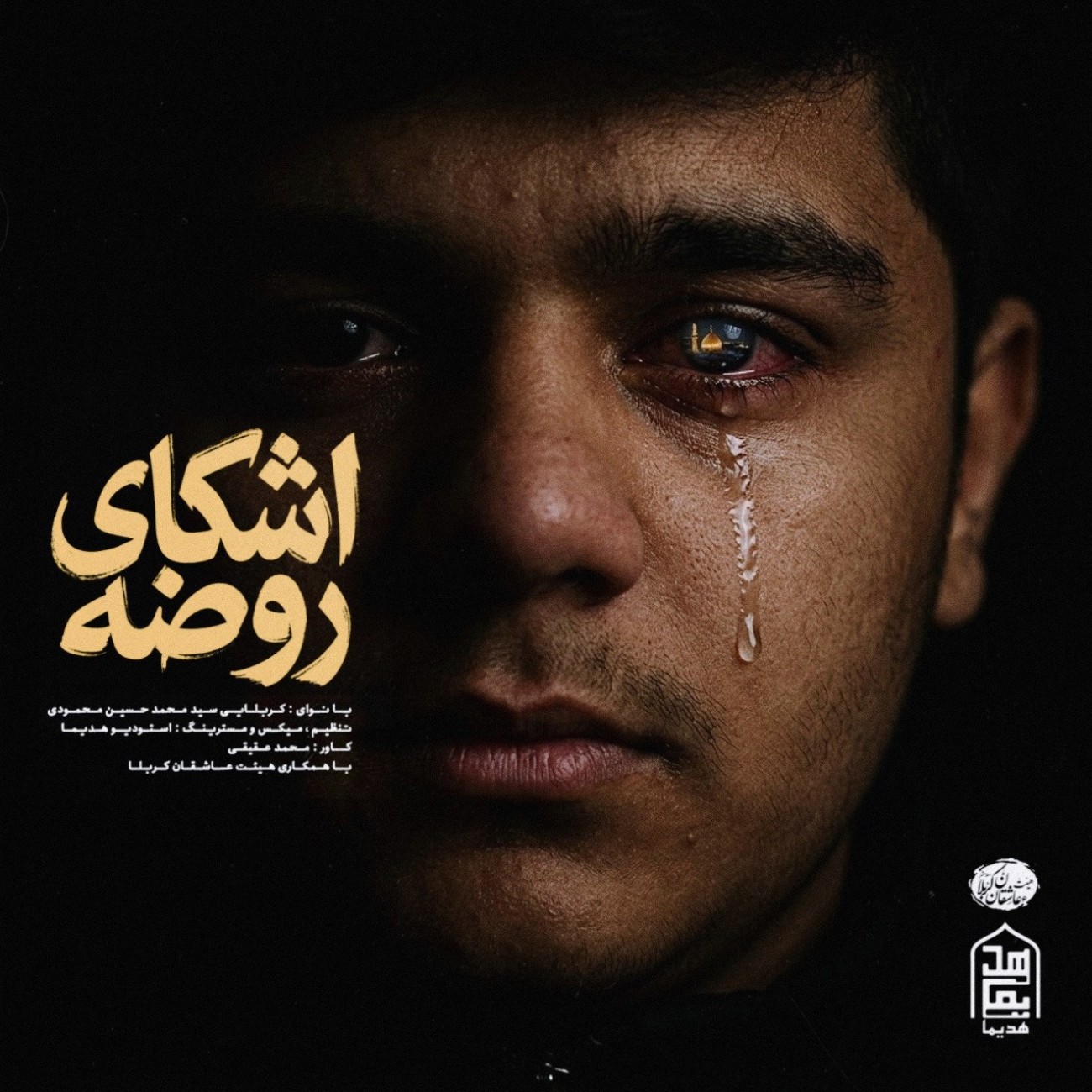 دانلود آهنگ جدید کربلایی سید محمد حسین محمودی به نام اشکای روضه