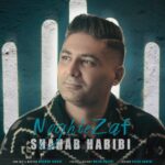 دانلود آهنگ جدید نقطه ضعف از شهاب حبیبی