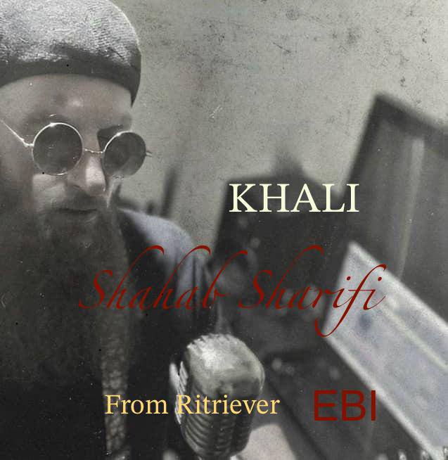 دانلود آهنگ جدید خالی از شهاب شریفی فر