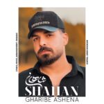دانلود آهنگ جدید غریب آشنا از شاهان