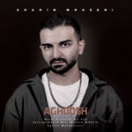 دانلود آهنگ جدید آغوش از شاهین محسنی