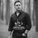 دانلود آهنگ جدید دل به دل از شروین تبار