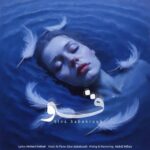 دانلود آهنگ جدید قو از سینا سبک روح