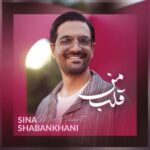 دانلود آهنگ جدید قلب من از سینا شعبانخانی