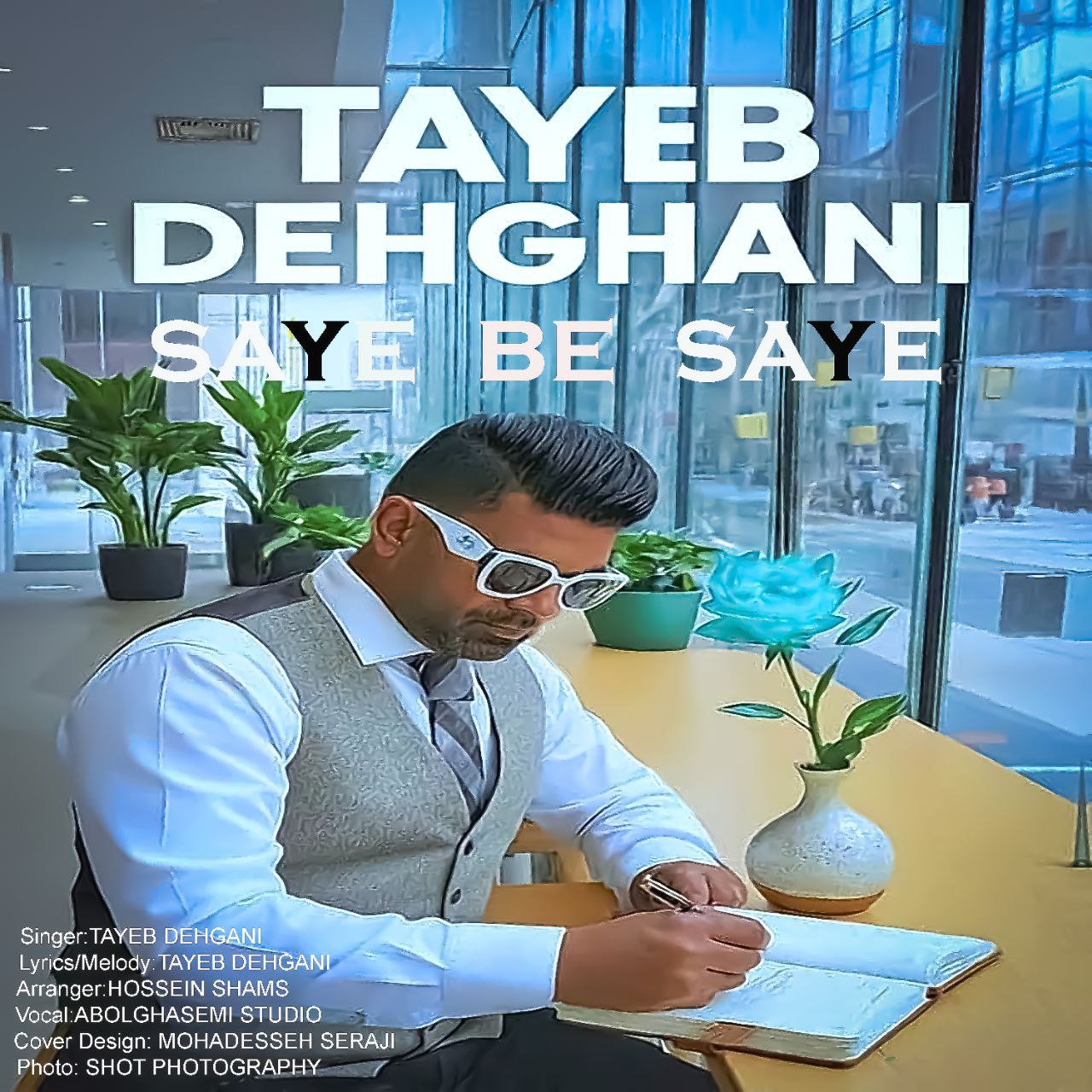 دانلود آهنگ جدید طیب دهقانی به نام سایه به سایه