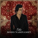 دانلود آهنگ جدید برو نبینمت از تکین