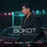 دانلود آهنگ جدید سکوت از حید خمیسی