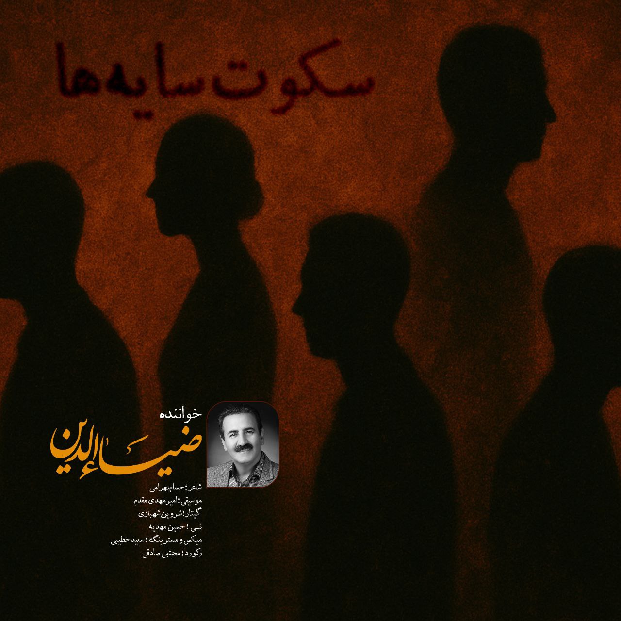 دانلود آهنگ جدید سکوت سایه ها از ضیاءالدین