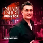 دانلود آهنگ شب عشق از آرمین نصرتی با کیفیت 320 + متن آهنگ